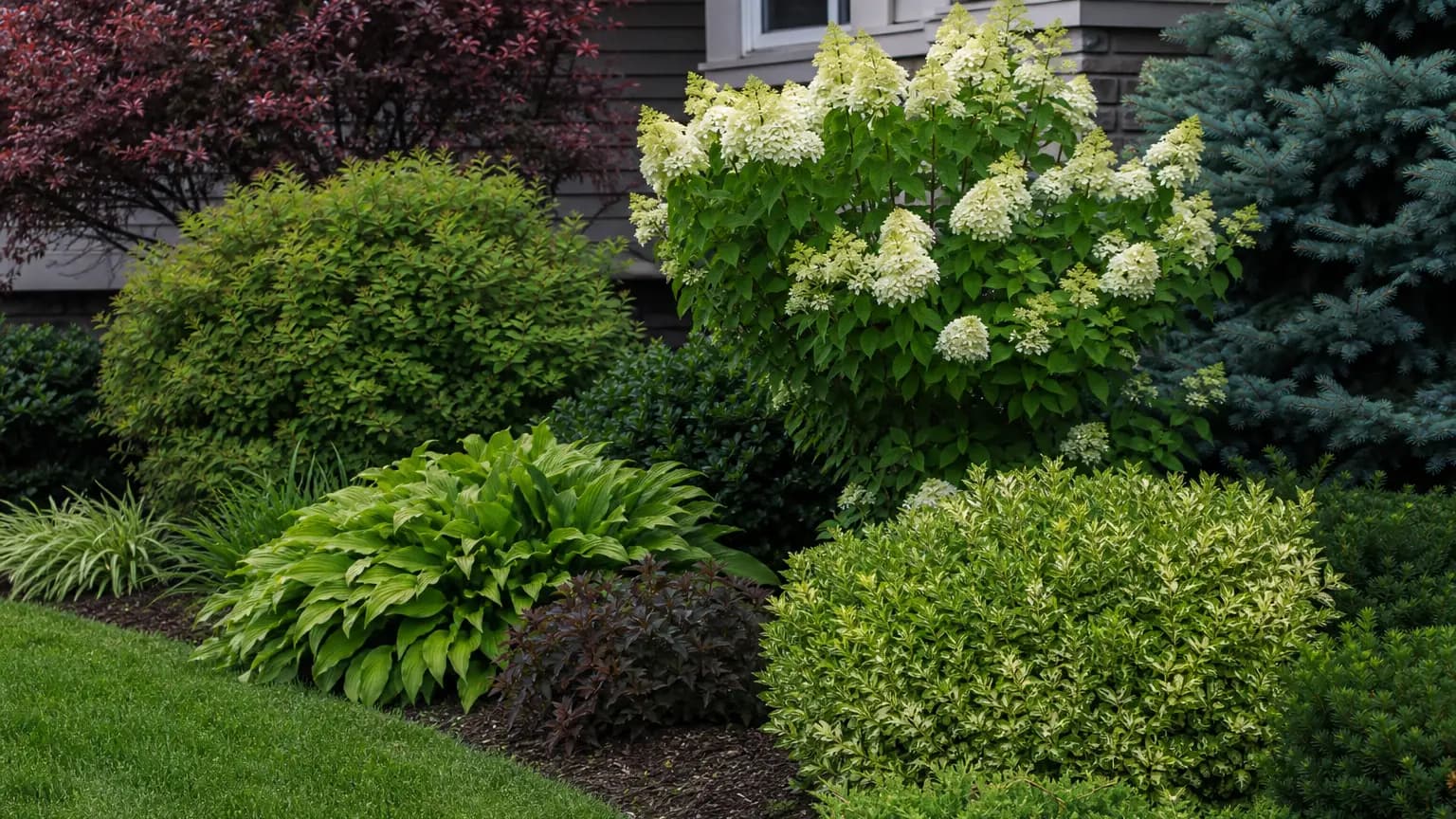 Layered shrub border with mixed foliage textures.
